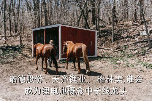 諾德股份、天齊鋰業(yè)、 格林美,誰(shuí)會(huì)成為鋰電池概念中長(zhǎng)線龍頭