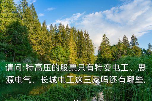 請問:特高壓的股票只有特變電工、思源電氣、長城電工這三家嗎還有哪些...