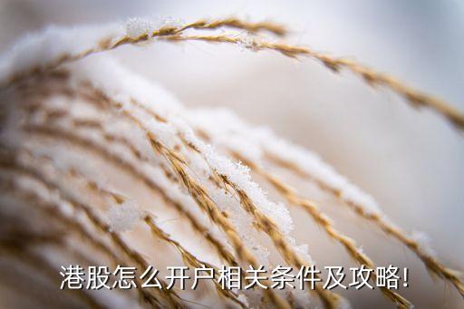  港股怎么開(kāi)戶(hù)相關(guān)條件及攻略!