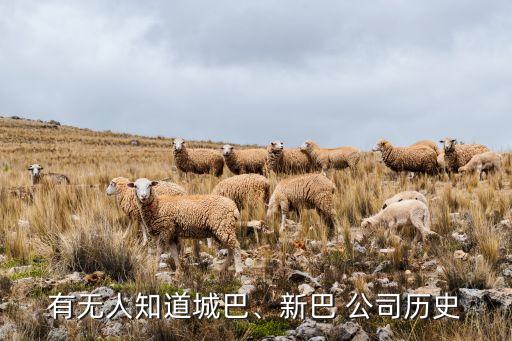 有無人知道城巴、新巴 公司歷史