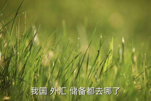 我國(guó) 外匯 儲(chǔ)備都去哪了
