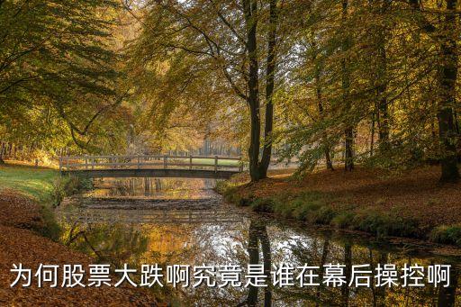 誰(shuí)在操縱中國(guó)股市,中國(guó)股市是誰(shuí)提出的