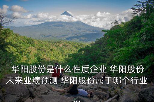 北京國(guó)泰華陽(yáng)投資有限公司,華陽(yáng)投資(香港)有限公司