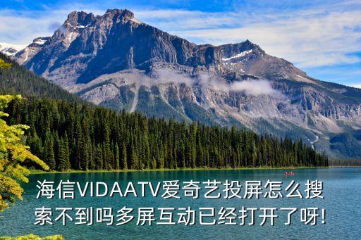 海信VIDAATV愛(ài)奇藝投屏怎么搜索不到嗎多屏互動(dòng)已經(jīng)打開(kāi)了呀!