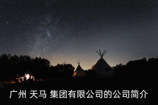 廣州 天馬 集團有限公司的公司簡介