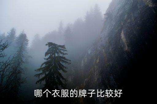 服裝品牌上市公司,國(guó)產(chǎn)服裝品牌排行榜前十名上市公司