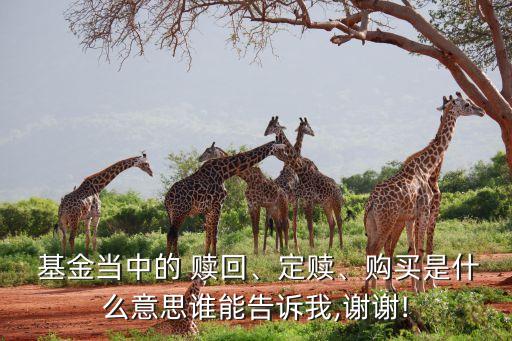  基金當中的 贖回、定贖、購買是什么意思誰能告訴我,謝謝!