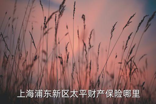  上海浦東新區(qū)太平財產保險哪里