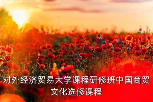 對(duì)外經(jīng)濟(jì)貿(mào)易大學(xué)課程研修班中國(guó)商貿(mào)文化選修課程