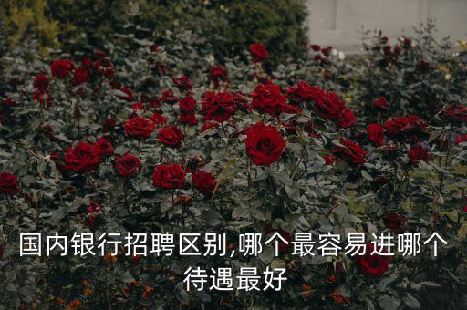 國(guó)內(nèi)銀行招聘區(qū)別,哪個(gè)最容易進(jìn)哪個(gè) 待遇最好