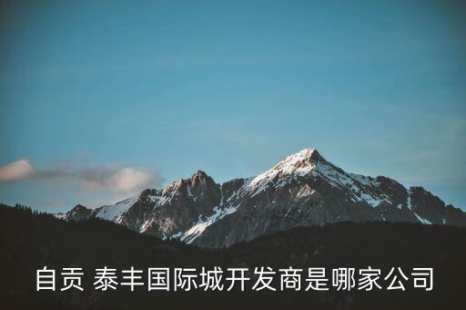 自貢 泰豐國(guó)際城開(kāi)發(fā)商是哪家公司