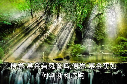 債券 基金有風(fēng)險(xiǎn)嗎,債券 基金買如何判斷和選購