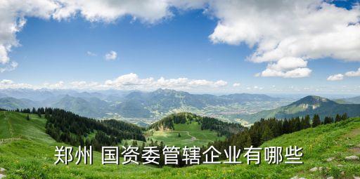 河南國資控股集團首頁,武昌國資控股集團領(lǐng)導簡介