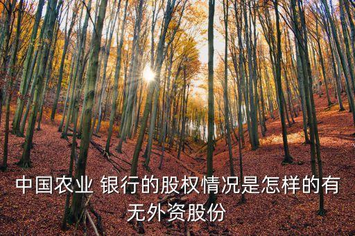 中國農(nóng)業(yè) 銀行的股權情況是怎樣的有無外資股份