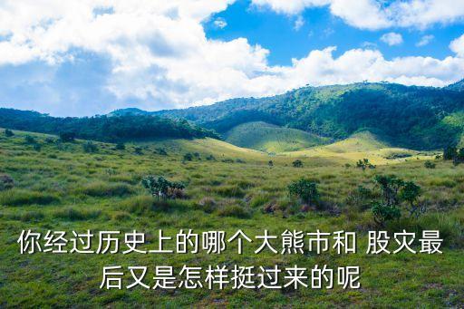 中國股災溶斷,2007年股災
