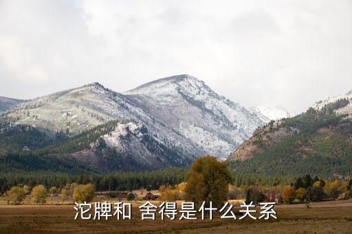 舍得酒業(yè)股份和舍得集團,沱牌酒業(yè)和舍得股份的關(guān)系