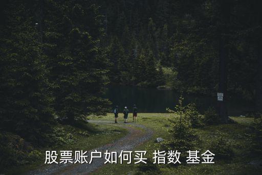 怎么申購分級指數基金,指數基金申購費率