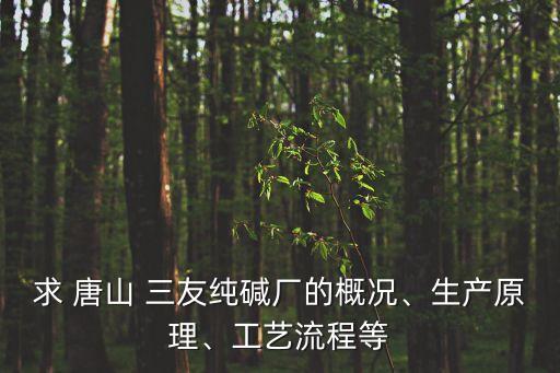 求 唐山 三友純堿廠的概況、生產(chǎn)原理、工藝流程等