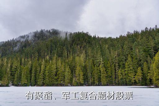 有聚酯、軍工復合題材股票