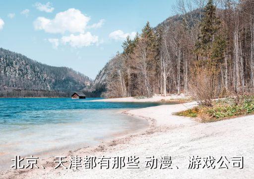 北京、天津都有那些 動漫、游戲公司