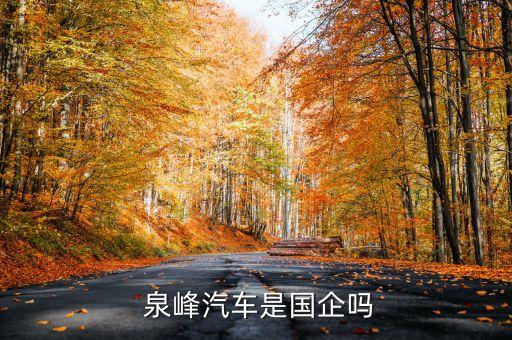 泉峰集團(tuán)上市了嗎