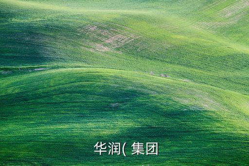 華潤集團現(xiàn)任董事長,正部級央企只有四家名單
