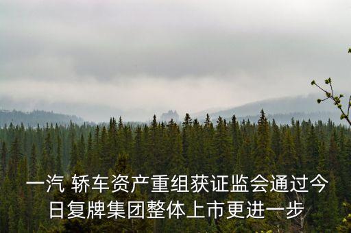  一汽 轎車資產重組獲證監(jiān)會通過今日復牌集團整體上市更進一步