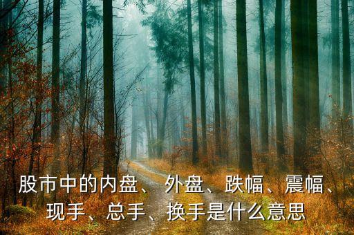 股市中的內(nèi)盤、 外盤、跌幅、震幅、現(xiàn)手、總手、換手是什么意思