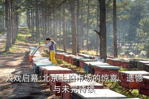 大戲啟幕:北京土拍市場的驚喜、遺憾與未完待續(xù)