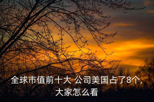 全球市值前十大 公司美國(guó)占了8個(gè),大家怎么看