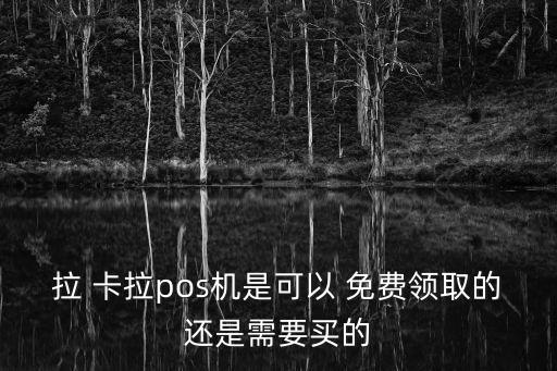 什么銀行能免費領(lǐng)拉卡拉,現(xiàn)在什么銀行辦理ETC免費