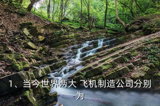 1、當(dāng)今世界兩大 飛機(jī)制造公司分別為