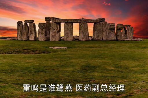 寧德鷺燕醫(yī)藥公司,九江鷺燕醫(yī)藥公司招聘網