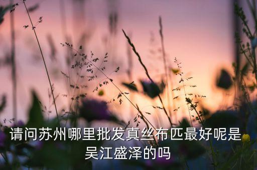 請(qǐng)問蘇州哪里批發(fā)真絲布匹最好呢是 吳江盛澤的嗎