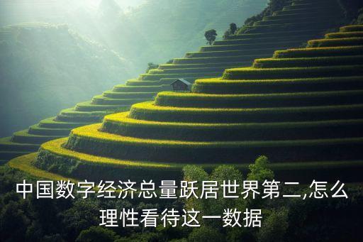 中國數(shù)字經(jīng)濟(jì)總量躍居世界第二,怎么理性看待這一數(shù)據(jù)