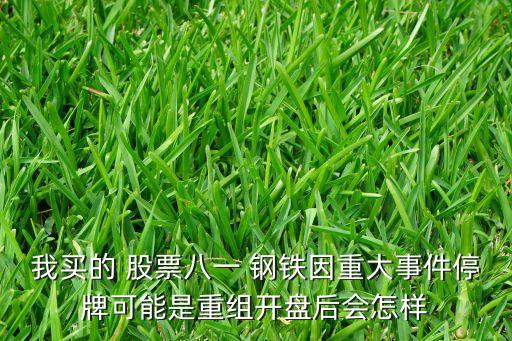 我買的 股票八一 鋼鐵因重大事件停牌可能是重組開盤后會(huì)怎樣