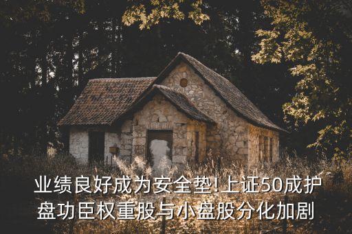  業(yè)績(jī)良好成為安全墊!上證50成護(hù)盤(pán)功臣權(quán)重股與小盤(pán)股分化加劇