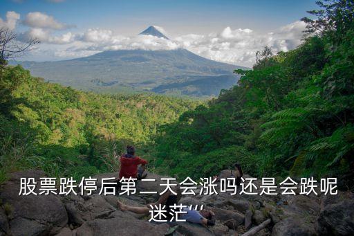  股票跌停后第二天會漲嗎還是會跌呢迷?！? class=
