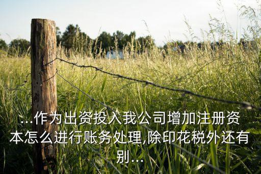 ...作為出資投入我公司增加注冊資本怎么進行賬務(wù)處理,除印花稅外還有別...