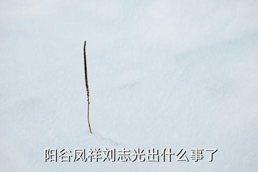  陽(yáng)谷鳳祥劉志光出什么事了