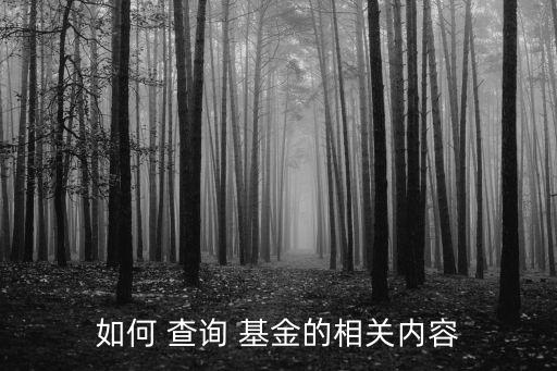 如何 查詢(xún) 基金的相關(guān)內(nèi)容