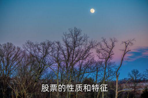  股票的性質和特征
