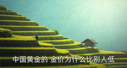 中國(guó)金價(jià)怎么不和國(guó)際,怎么知道國(guó)際金價(jià)是多少