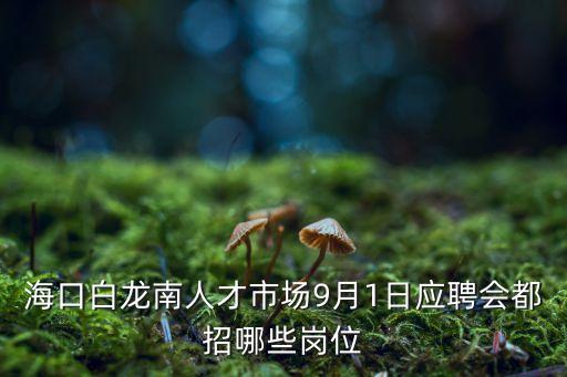 海口白龍南人才市場9月1日應(yīng)聘會都招哪些崗位