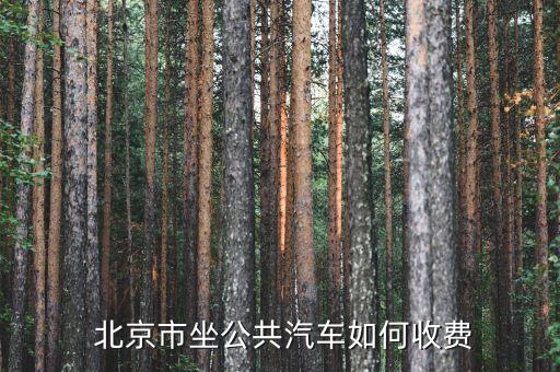  北京市坐公共汽車如何收費