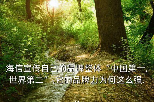 海信集團的股權(quán)激勵,海信家電股權(quán)激勵