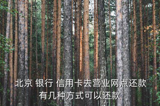  北京 銀行 信用卡去營業(yè)網(wǎng)點還款有幾種方式可以還款