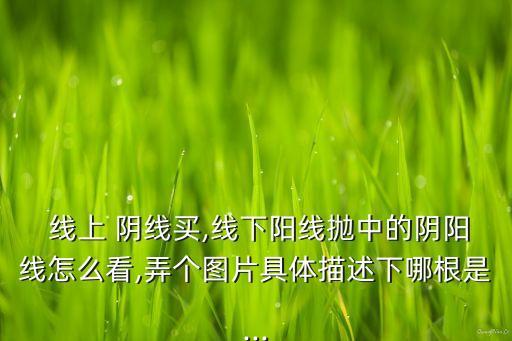  線上 陰線買,線下陽線拋中的陰陽線怎么看,弄個(gè)圖片具體描述下哪根是...