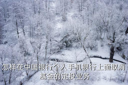 怎樣在中國銀行個人手機(jī)銀行上面取消 基金的定投業(yè)務(wù)