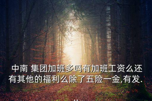  中南 集團(tuán)加班多嗎有加班工資么還有其他的福利么除了五險一金,有發(fā)...